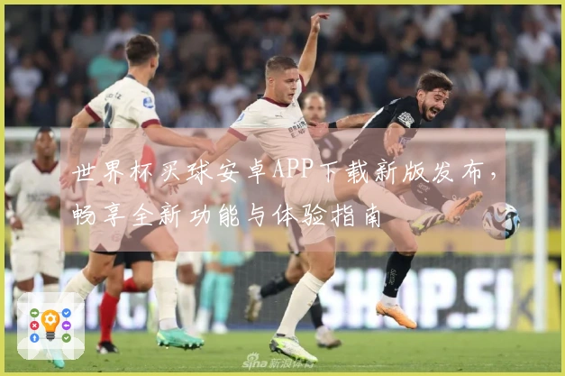 世界杯买球安卓APP下载新版发布，畅享全新功能与体验指南