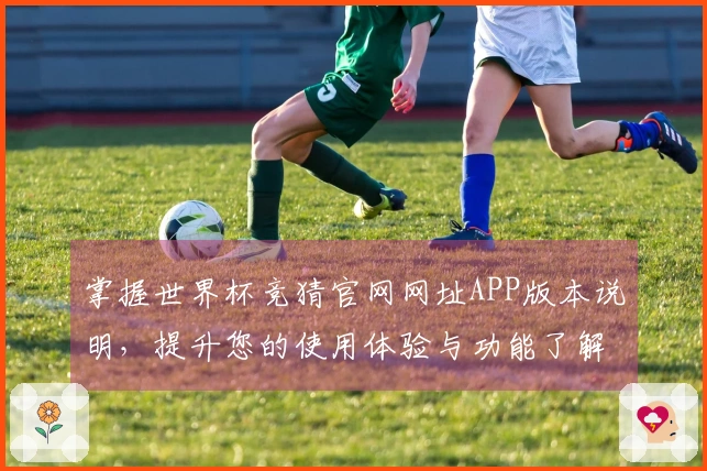 掌握世界杯竞猜官网网址APP版本说明，提升您的使用体验与功能了解