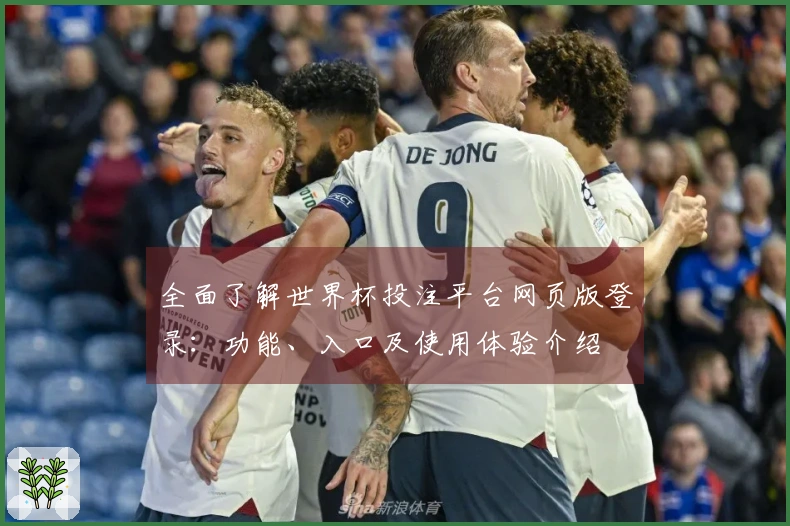 全面了解世界杯投注平台网页版登录：功能、入口及使用体验介绍