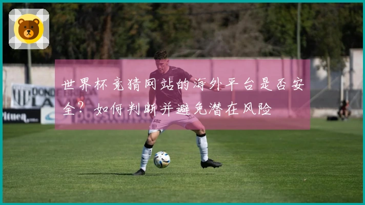 世界杯竞猜网站的海外平台是否安全？如何判断并避免潜在风险