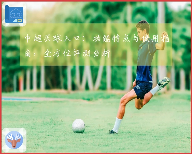 中超买球入口：功能特点与使用指南，全方位评测分析