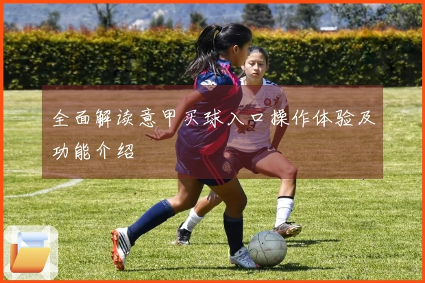 全面解读意甲买球入口操作体验及功能介绍