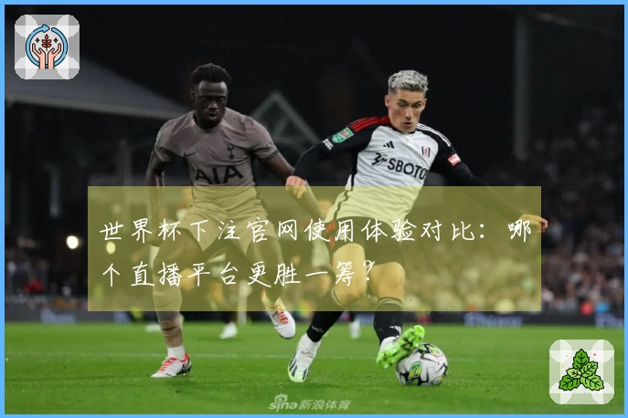 世界杯下注官网使用体验对比：哪个直播平台更胜一筹？