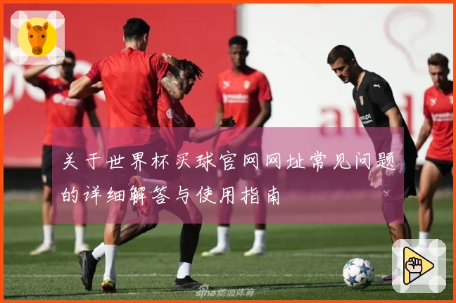 关于世界杯买球官网网址常见问题的详细解答与使用指南