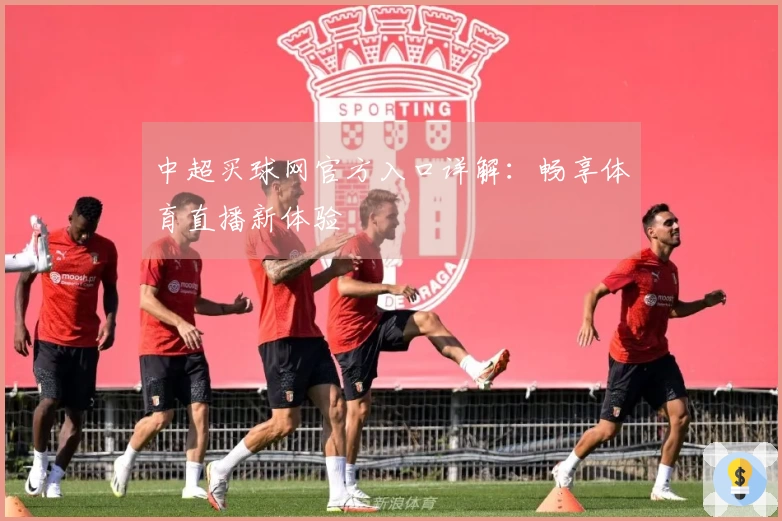 中超买球网官方入口详解：畅享体育直播新体验